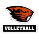 Beaver Volleyball - Decal